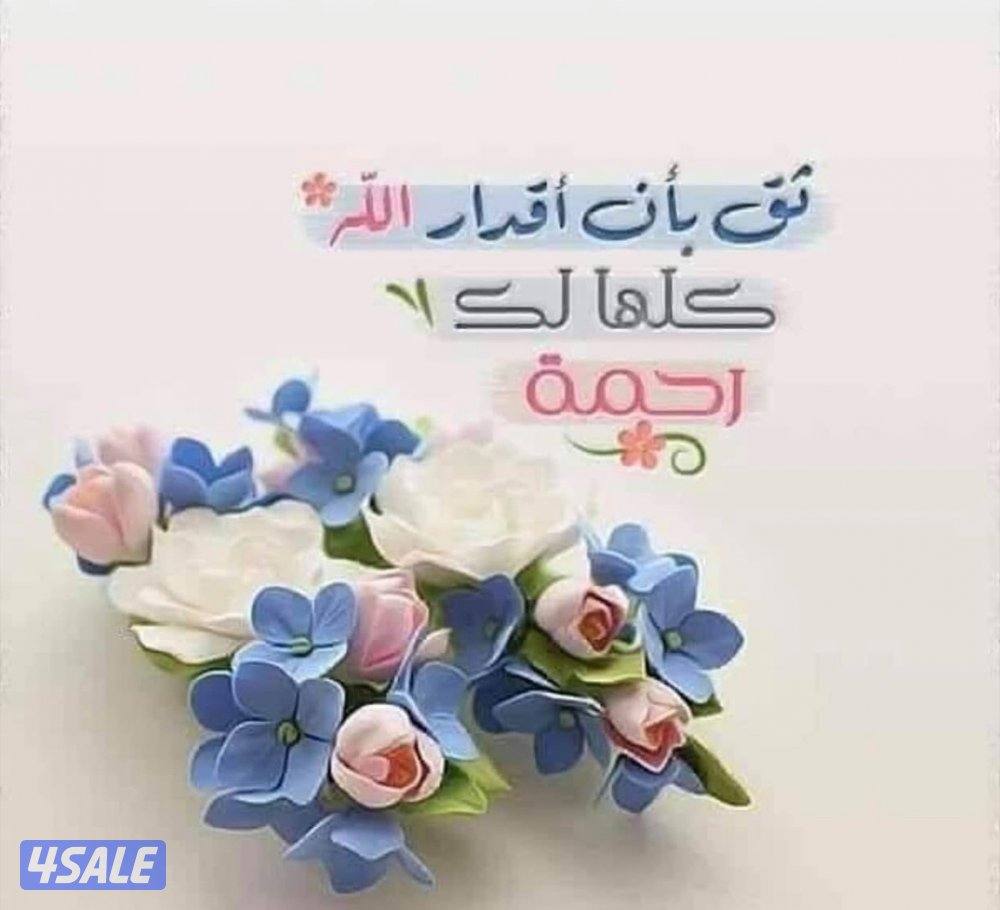 للإيجار بالجهراء0