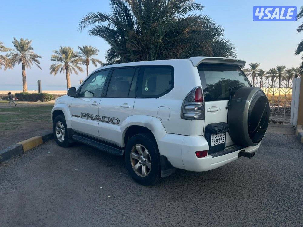 المنقف قطعة٤1