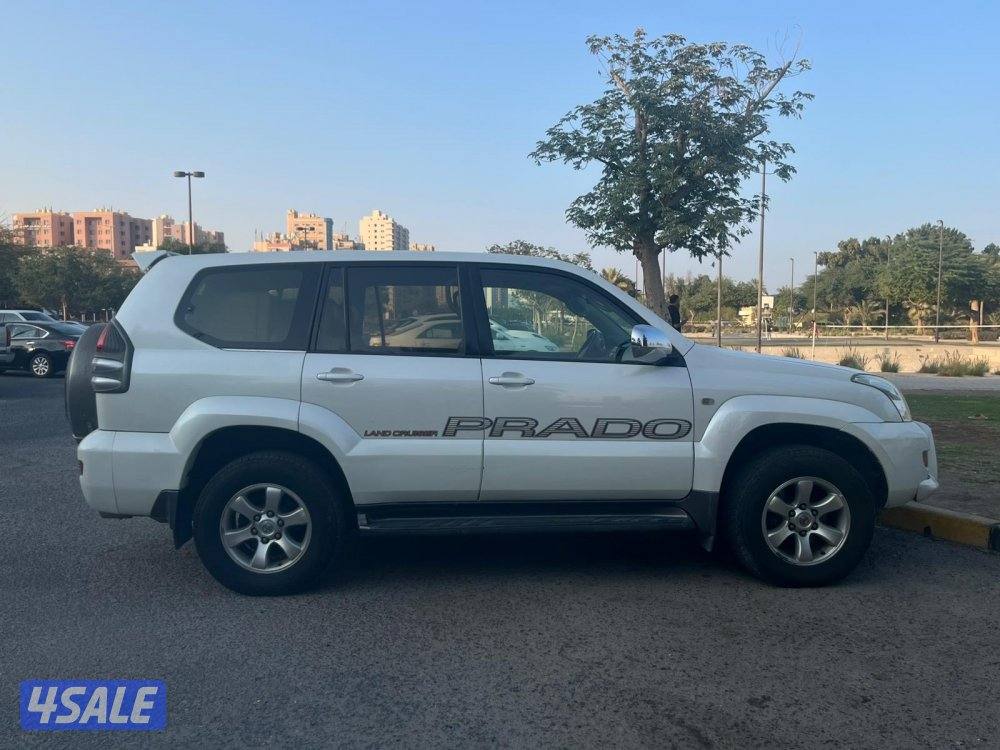 المنقف قطعة٤3