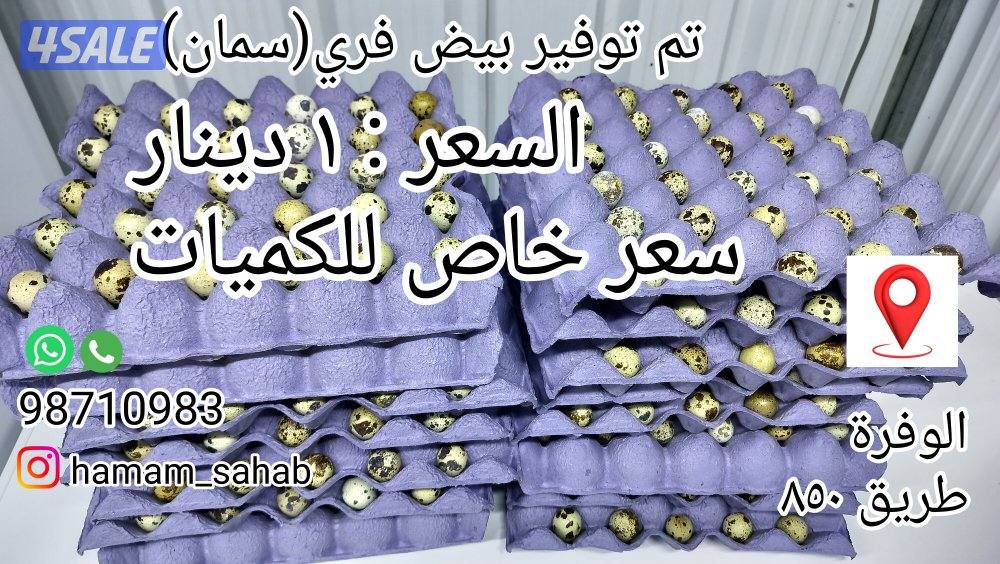 بيض فري سعر خاص للكميات0