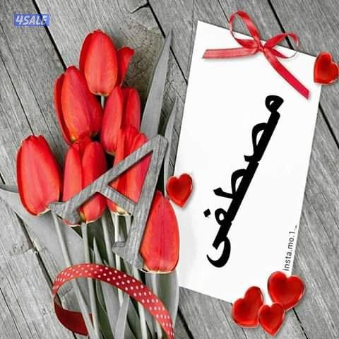 مدرس تربيه اسلاميه ولغه عربيه0