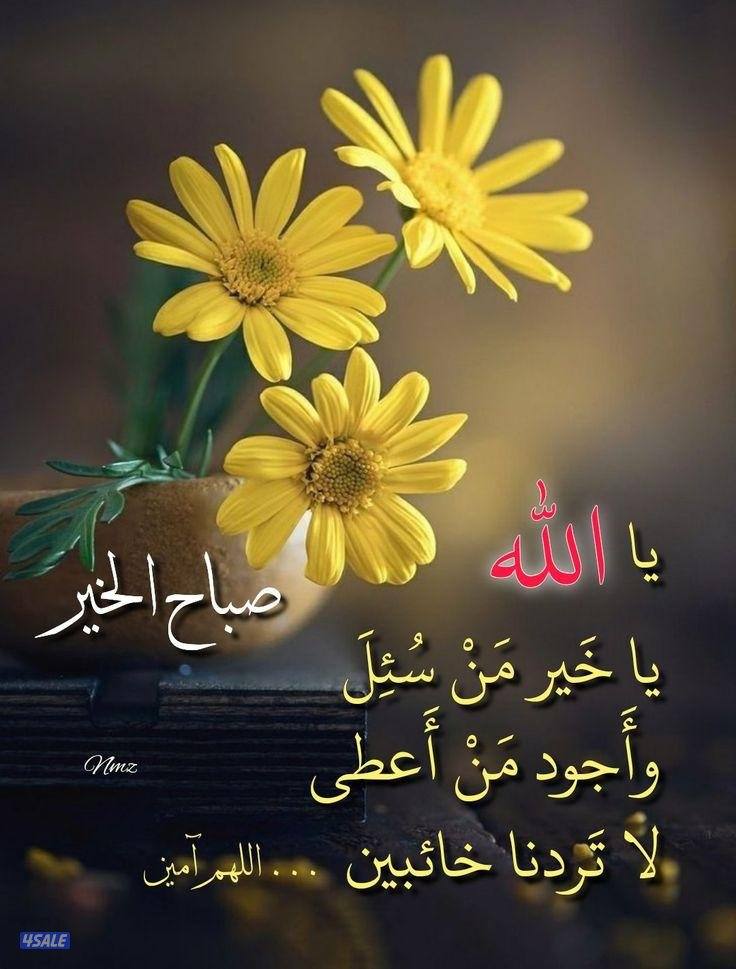 للايجار شقه بصباح الأحمد قطاع E ٣غرف ٣حمام وصاله ومطبخ غرفة خ0