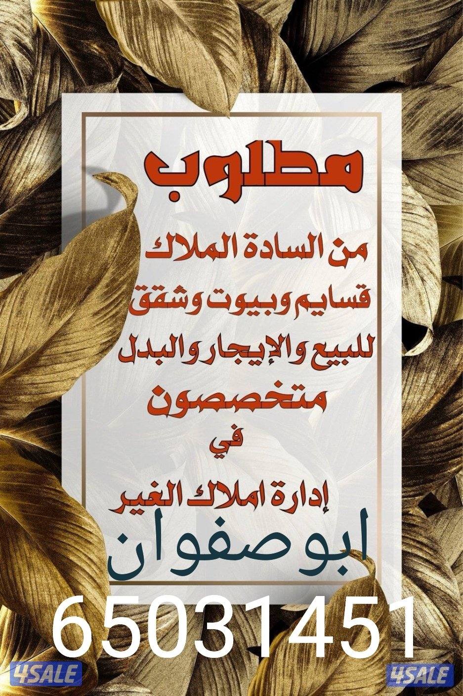 ارضي وبيوت جنوب السره0