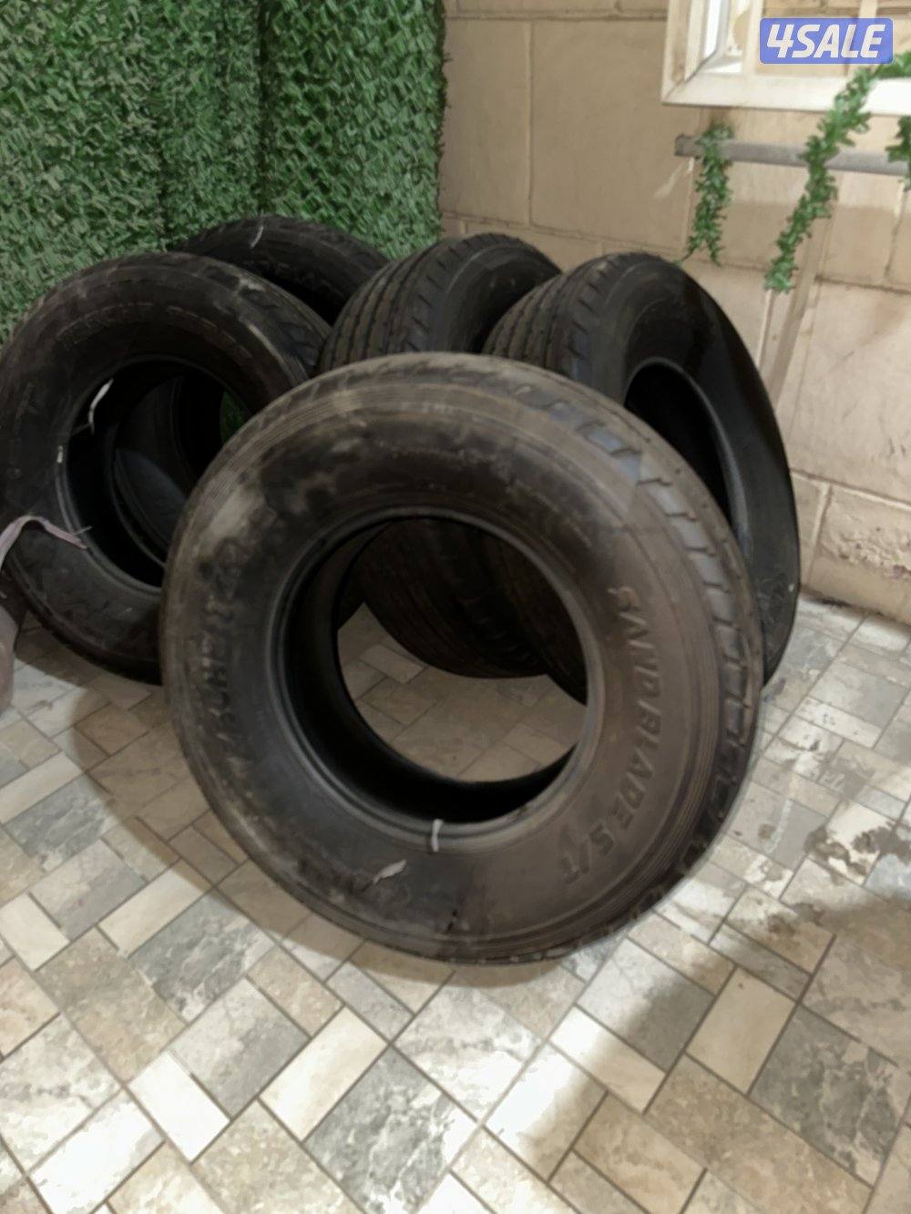 شواهين مقاس ١٧0