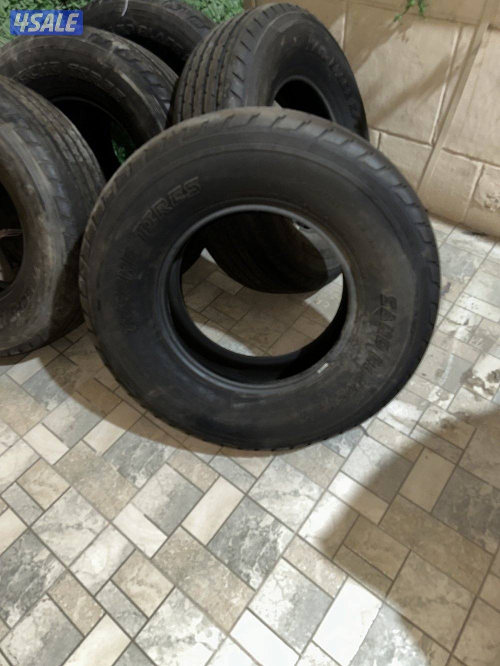 شواهين مقاس ١٧1