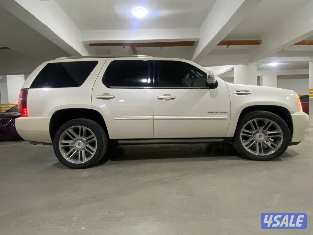 للبيع سكاليد2