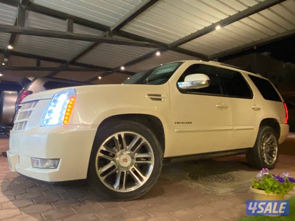 للبيع سكاليد5