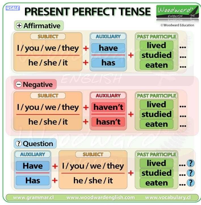 مدرّس لغة إنجليزية متخصص في تقوية الطلاب في جميع المهارات اللغوية3