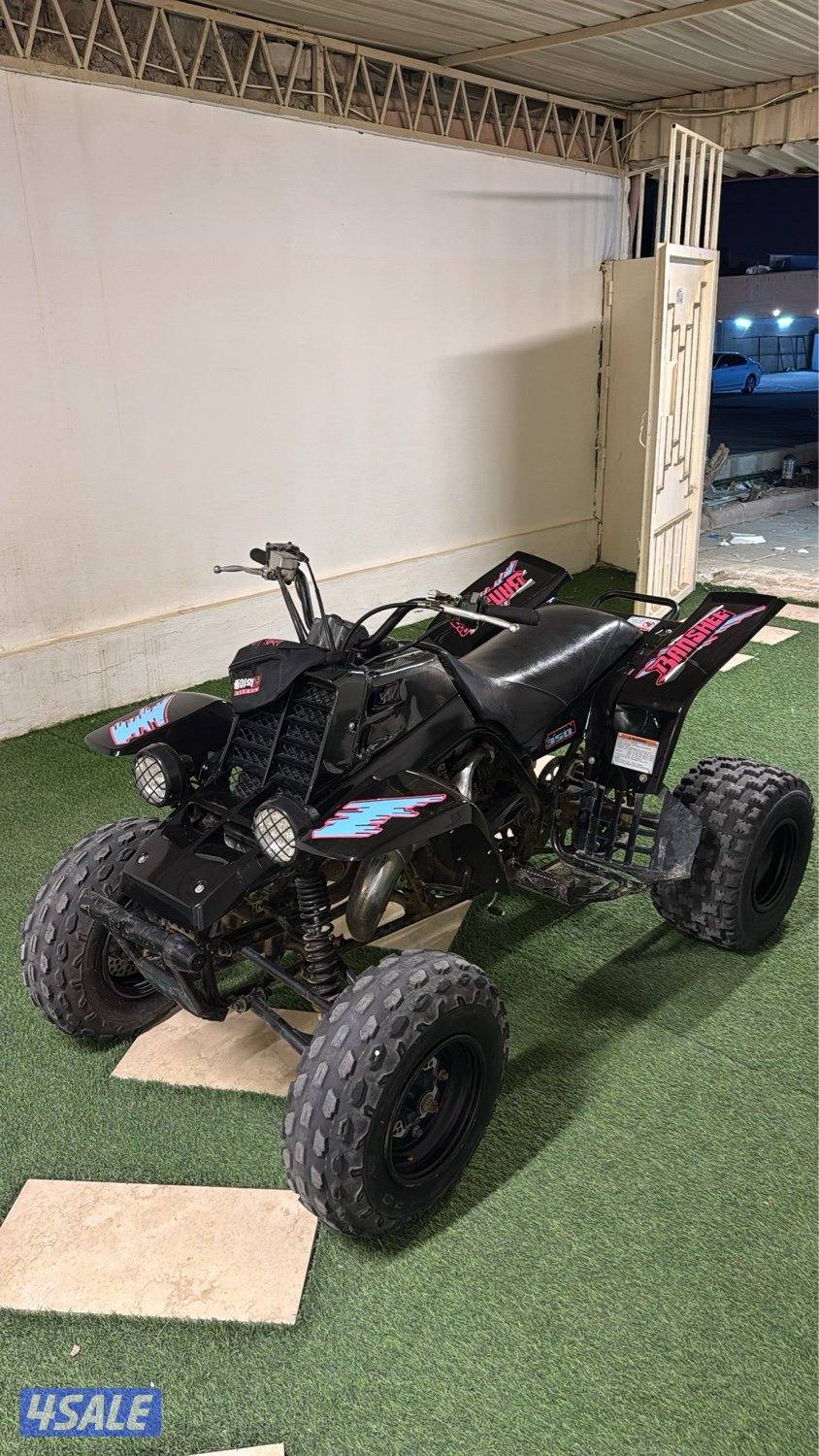 2004 لمتد اديشن شاصي صبغ وكالة0