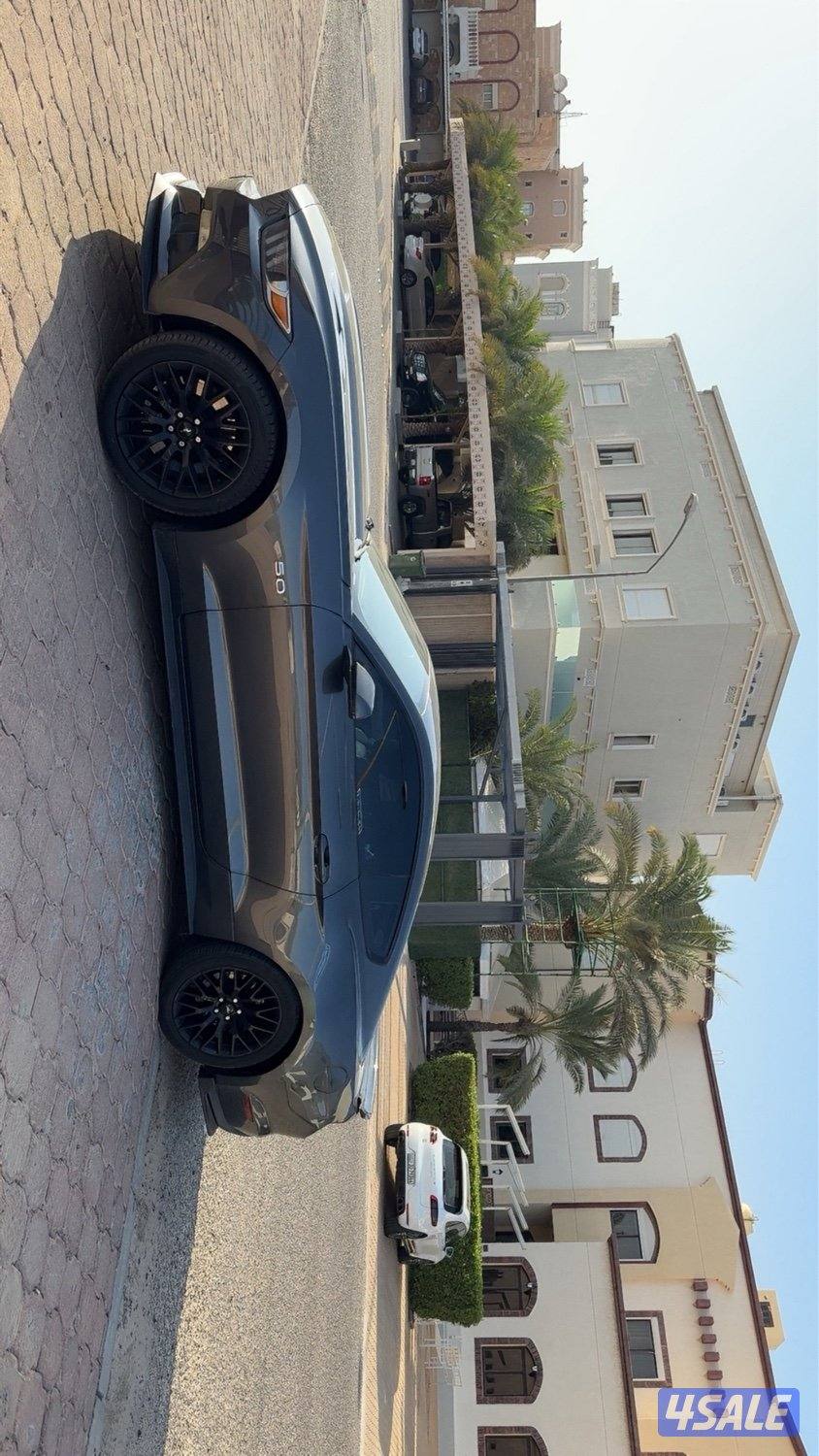 للبيع موستنق ٢٠١٥ شرط الفحص (قير-مكينه-شاصي ) قير عادي ماشي ٢٠٠كيلو1