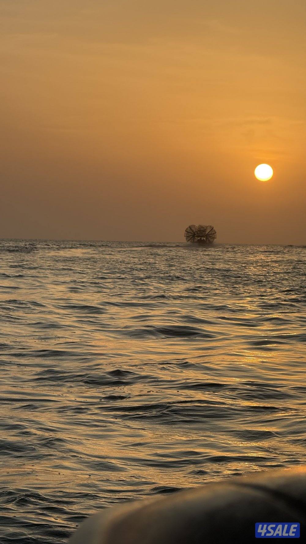 مطلوب مزرعه خيل0