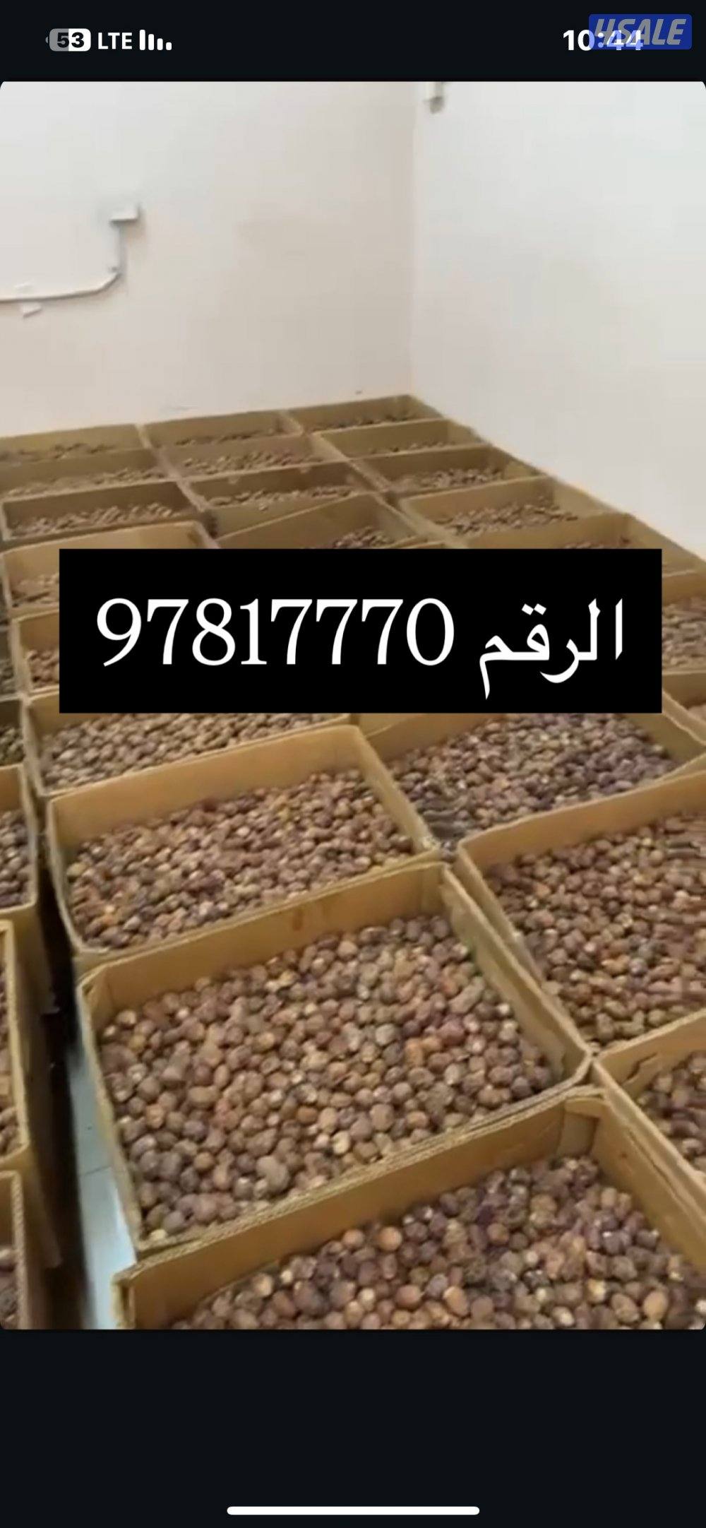 تمر برحي وصقعي0