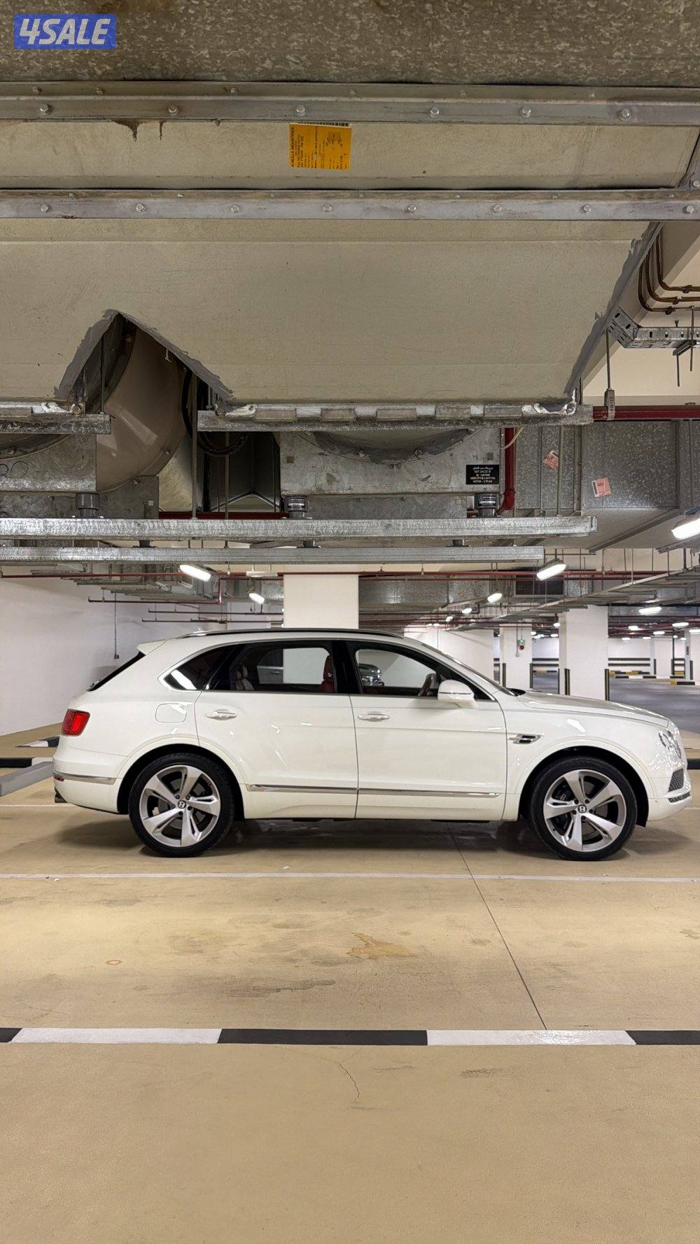 بنتلي بينتايقا المالك الاول 12 سلندر3