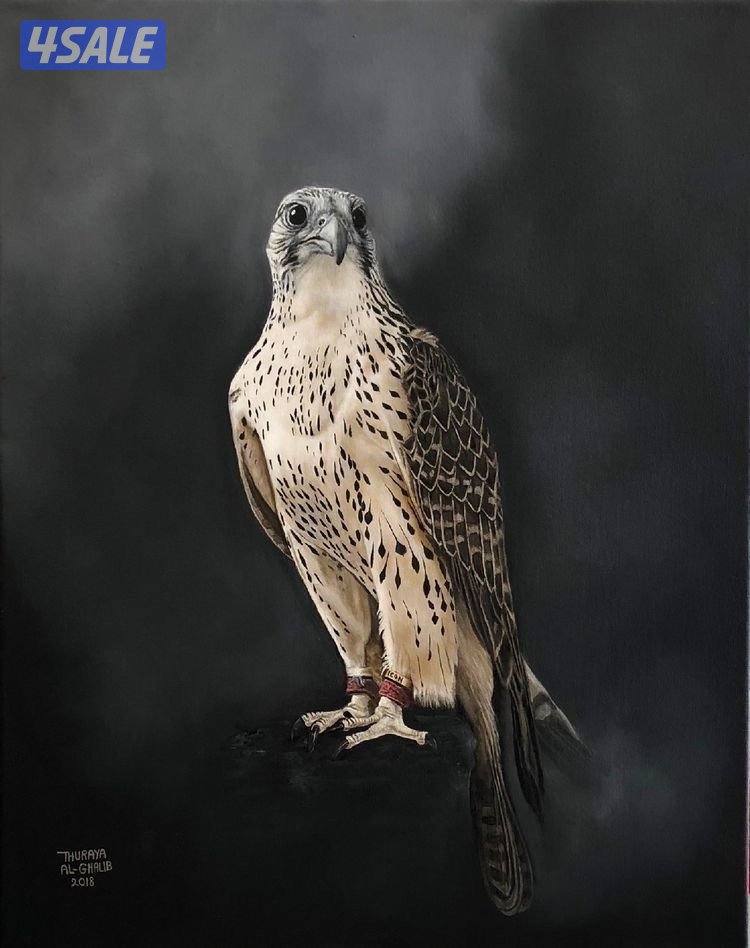 سيده تقو بتوصيل الموظفات او طلاب الجامعه ابي بنات بس0