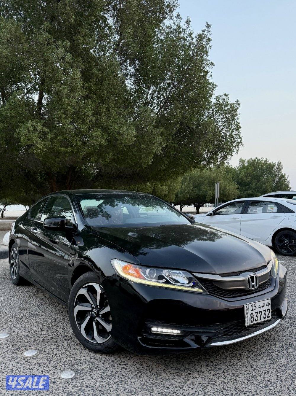 بنيد القار8