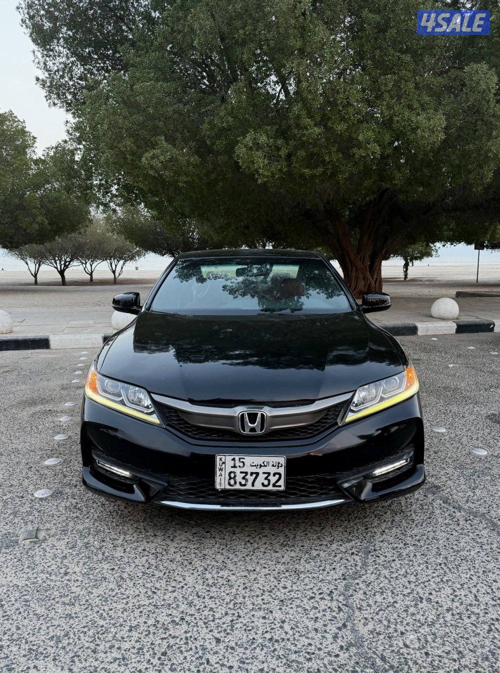 بنيد القار9