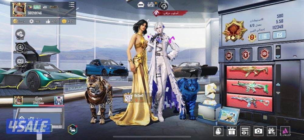 حساب ببجي لفل 800