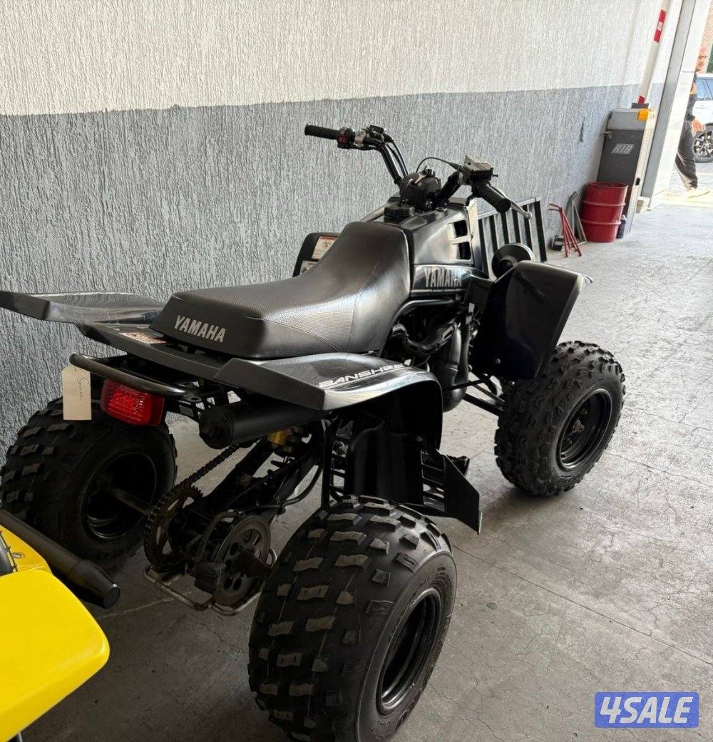 بانشي ستوك بالكامل1