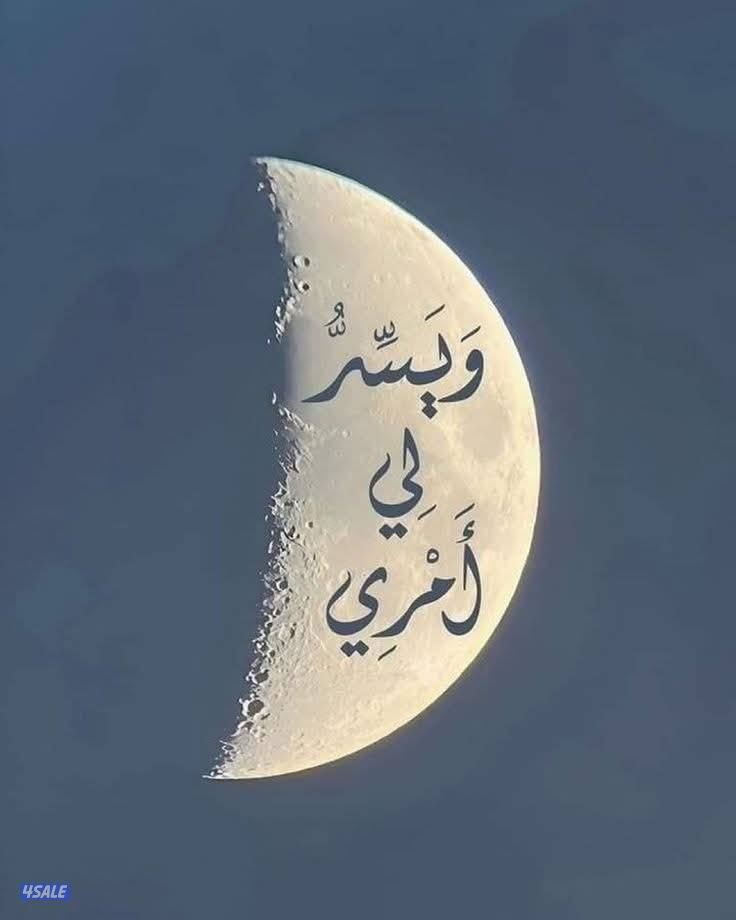 شاب من جنوب اليمن يبحث عن عمل حر5