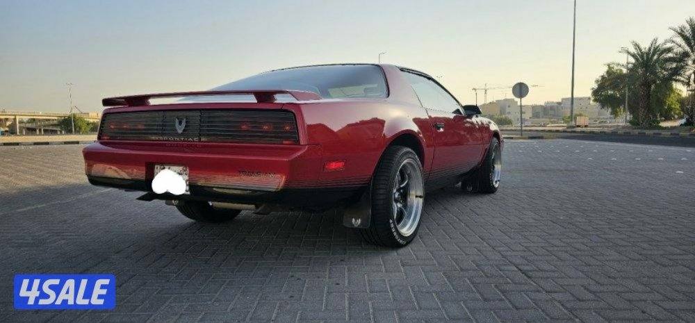 ترانز أم ٨٤1