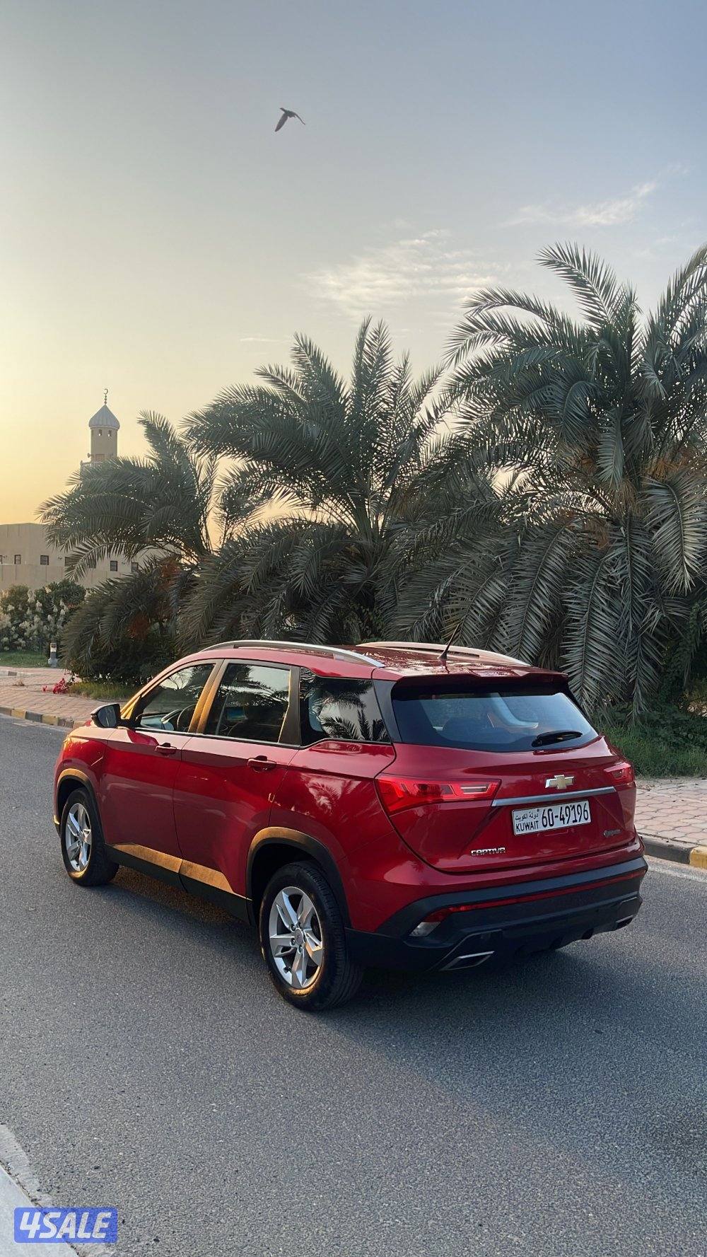 شرط الفحص الكامل صبغ وكاله2