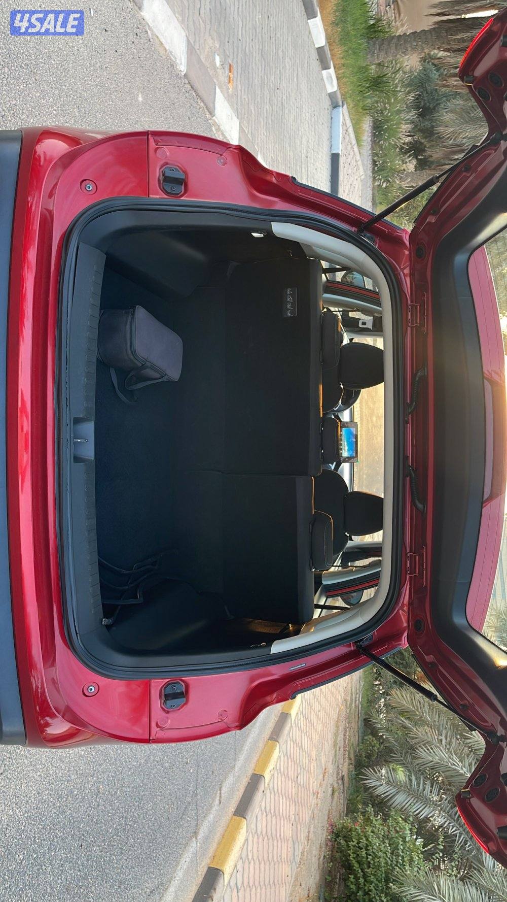 شرط الفحص الكامل صبغ وكاله10