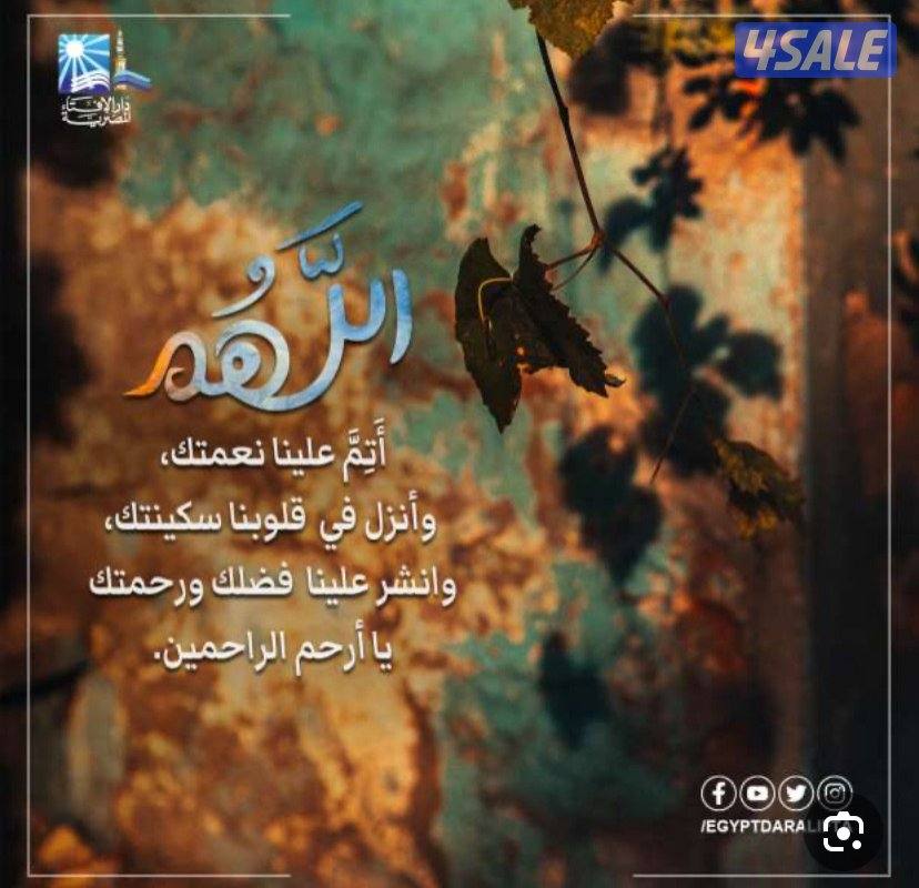 مطلوب طباع ومدخل بينات0