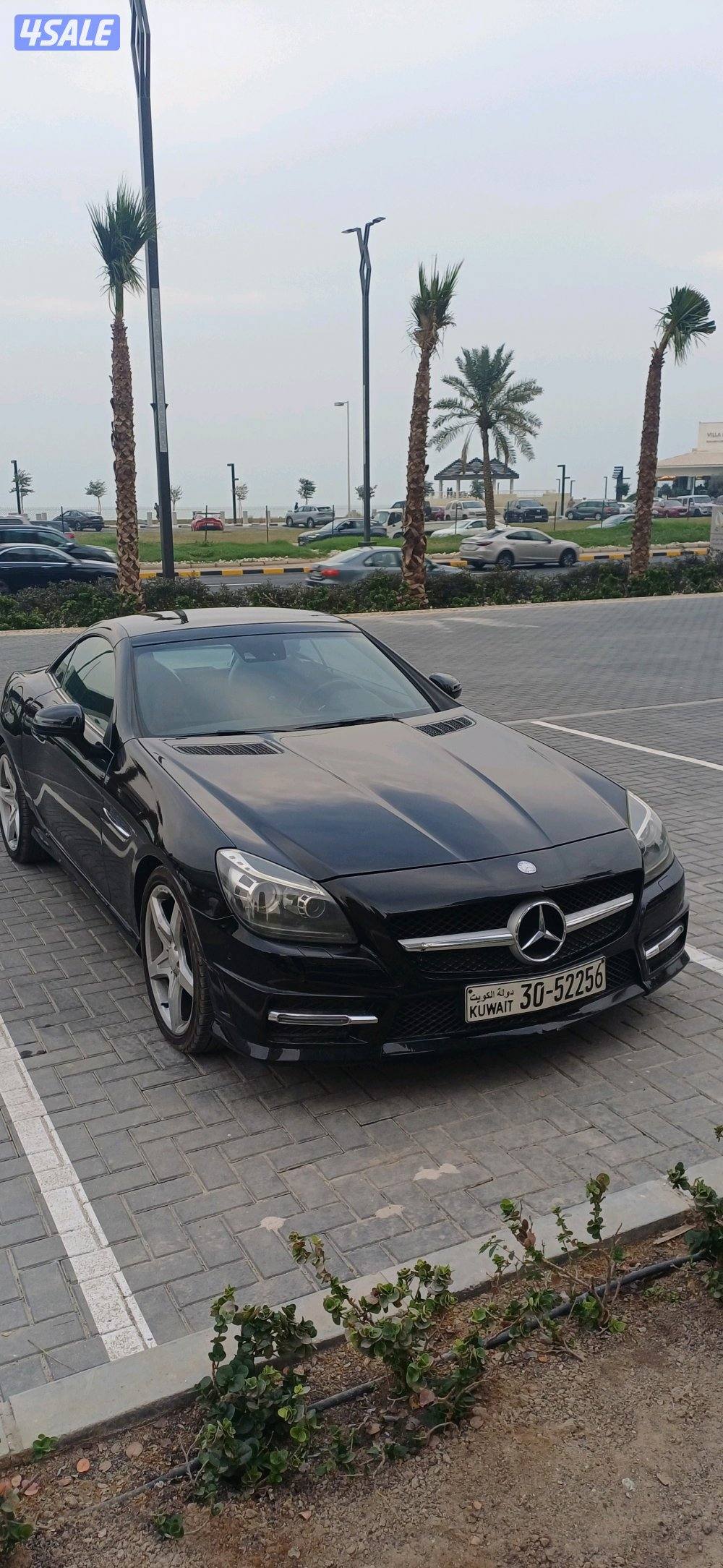 الشعب البحري4