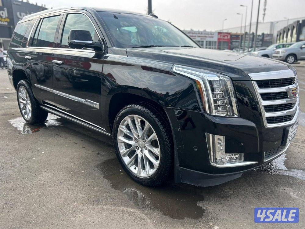 كاديلاك اسكاليد .V81