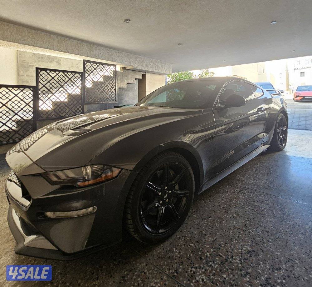 موستنغ ٢٠١٩2