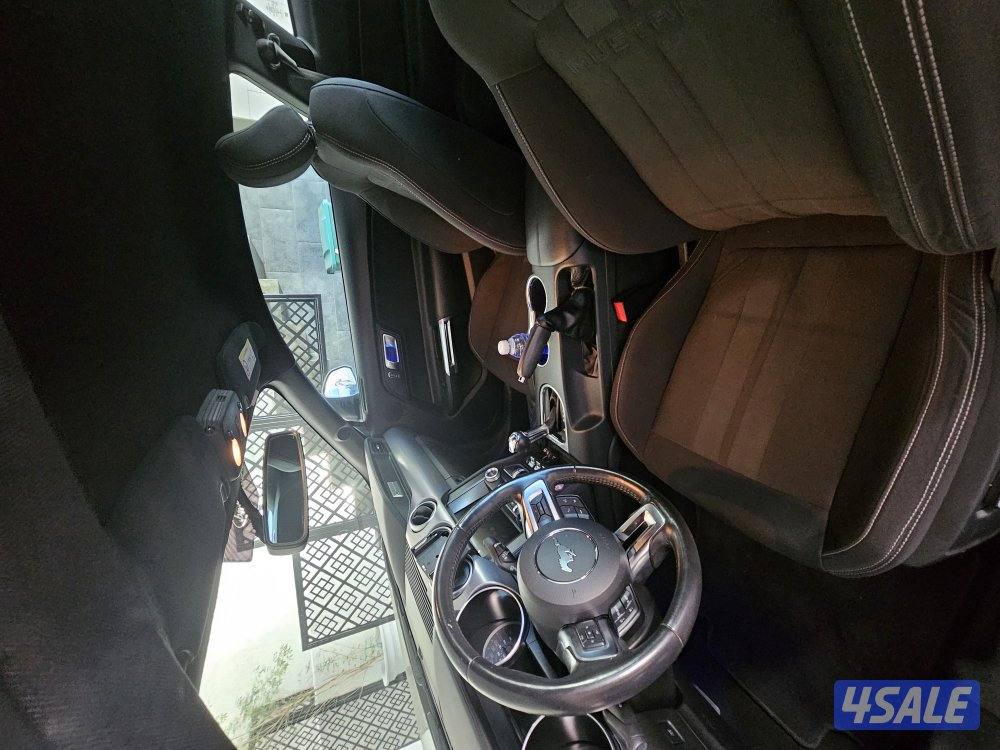 موستنغ ٢٠١٩4