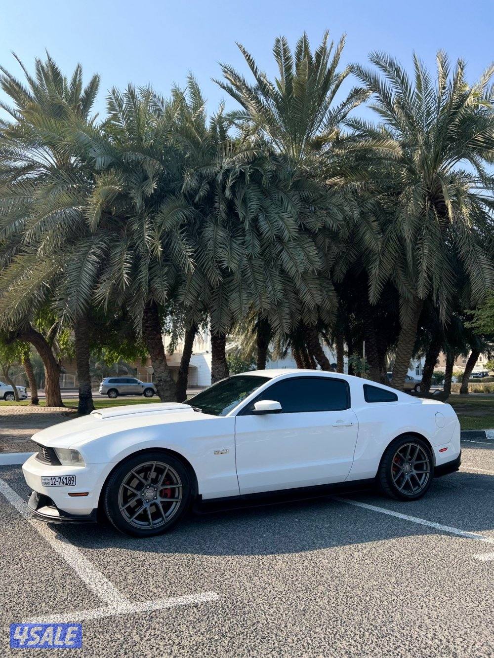 موستنق /5,0 قير عادي1