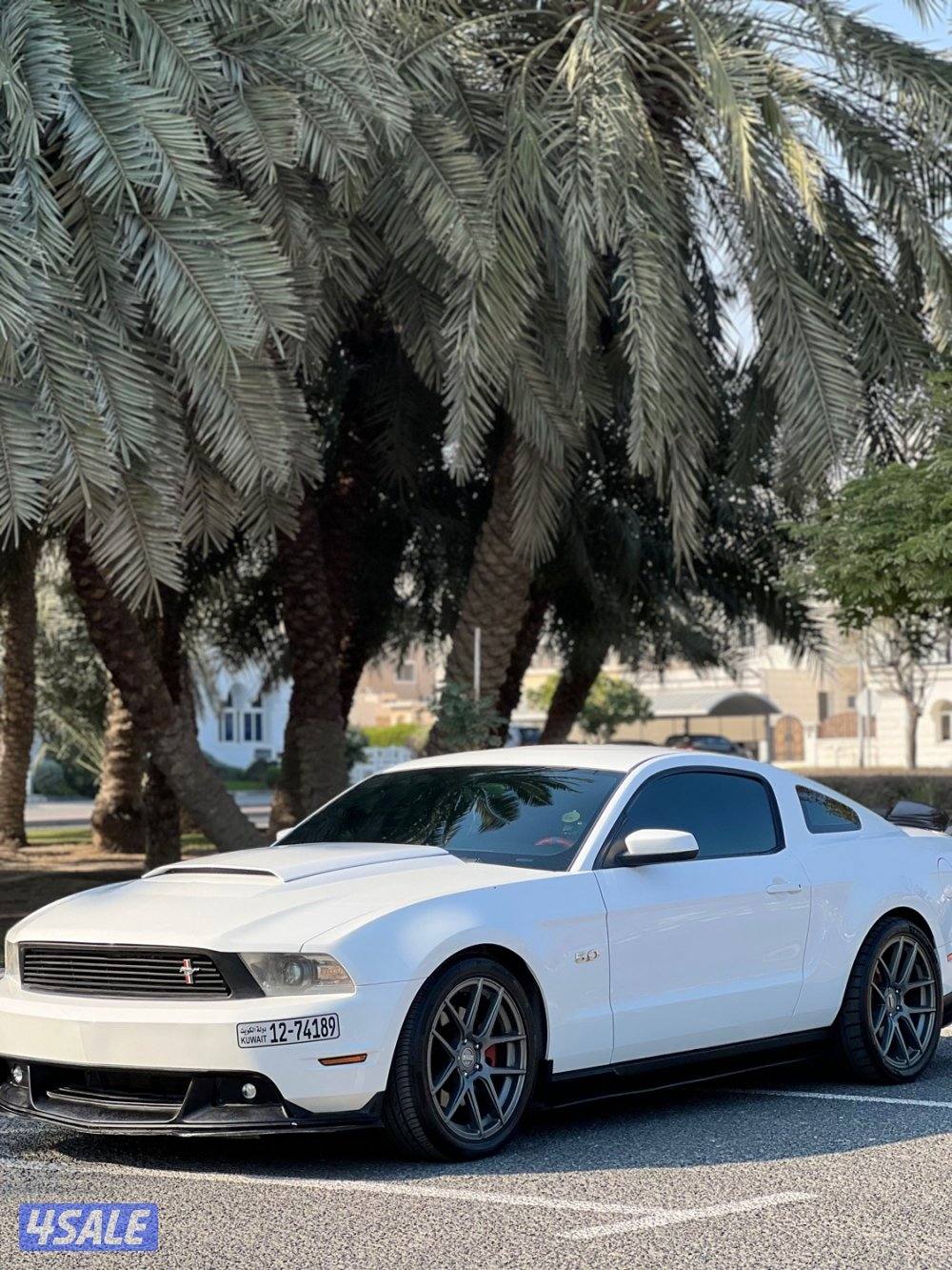 موستنق /5,0 قير عادي0