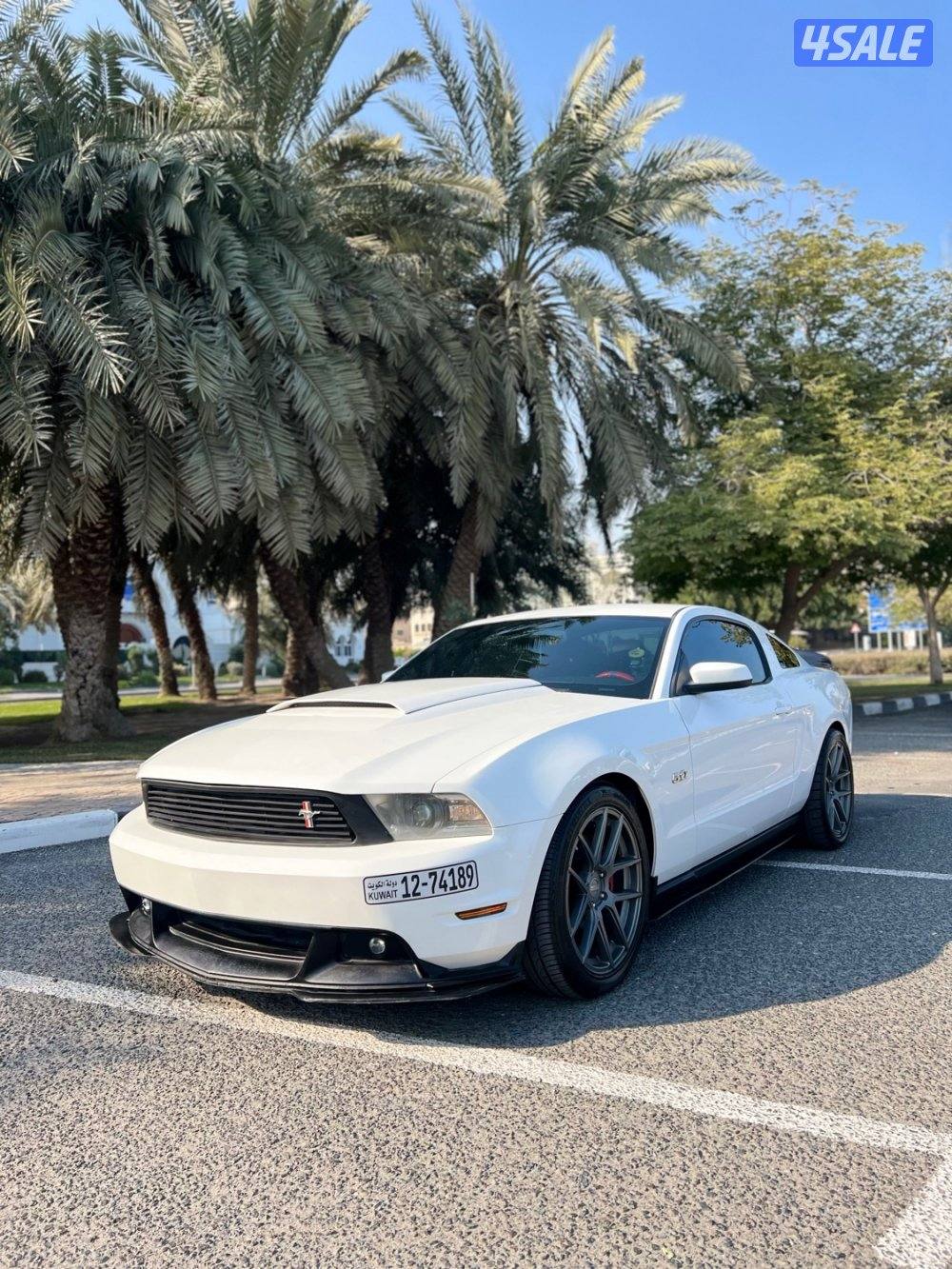 موستنق /5,0 قير عادي2