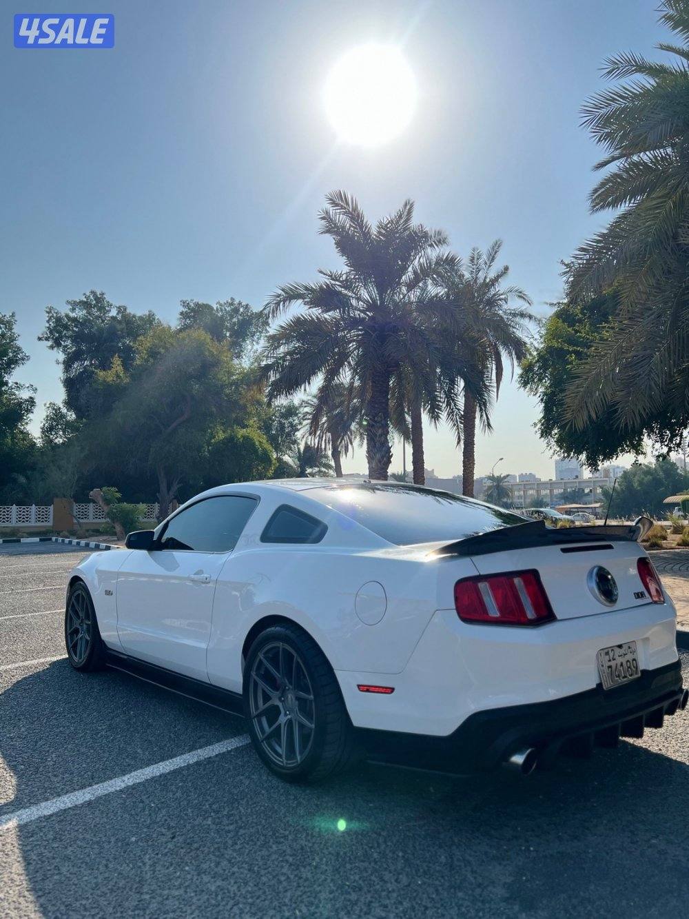 موستنق /5,0 قير عادي3