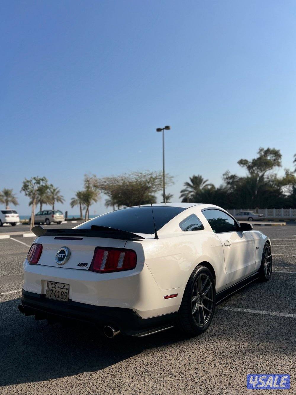 موستنق /5,0 قير عادي4