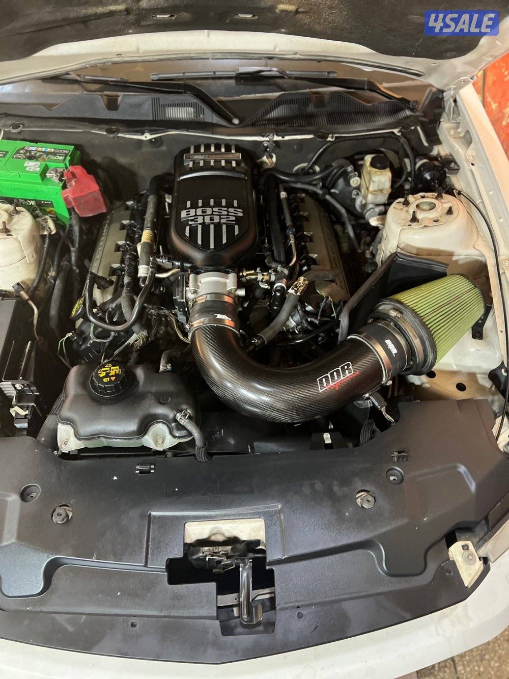 موستنق /5,0 قير عادي6