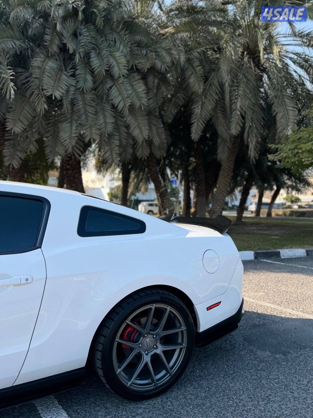 موستنق /5,0 قير عادي5