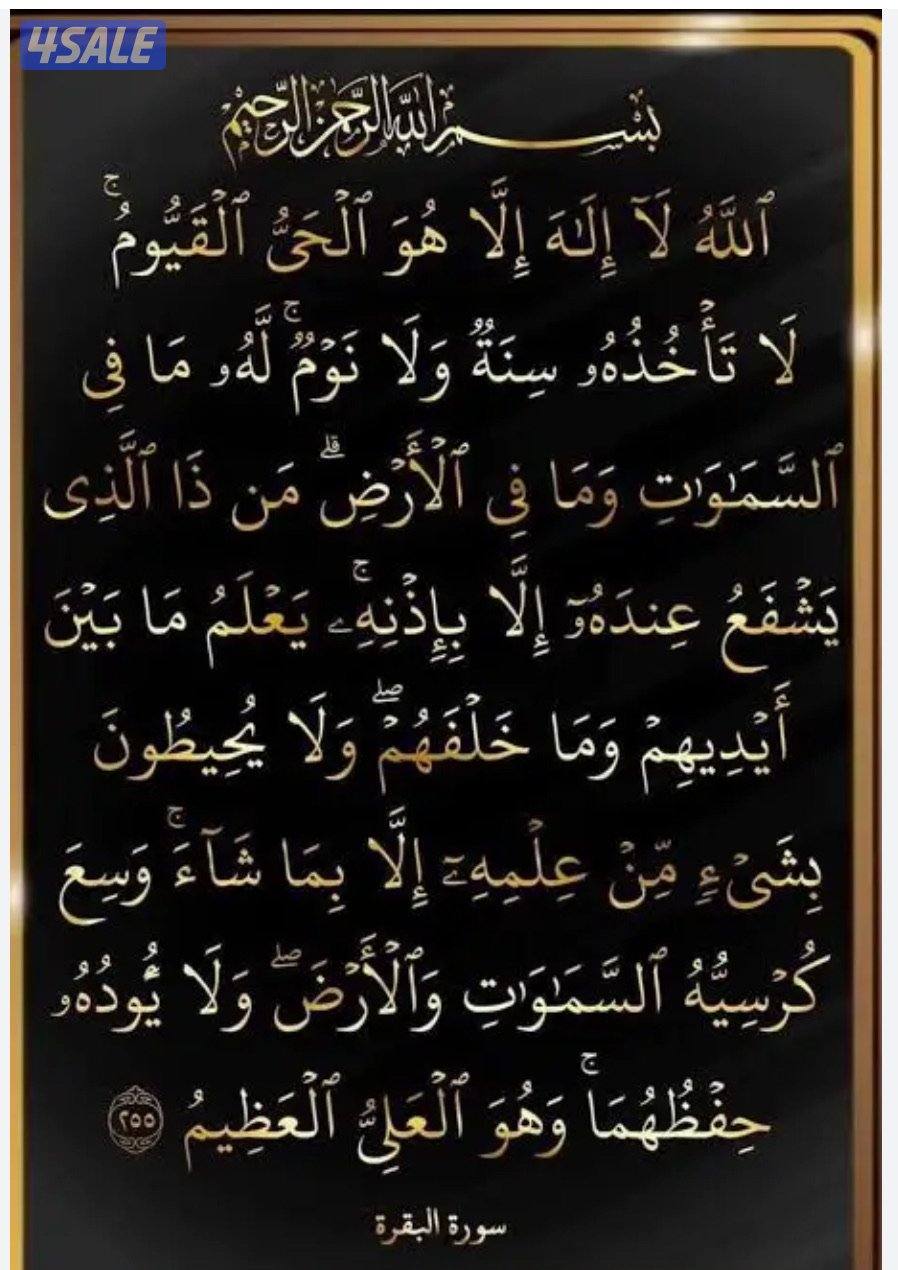 شاب سوري لدي رخصة قيادة عامة ابحث عن عمل مناسب0