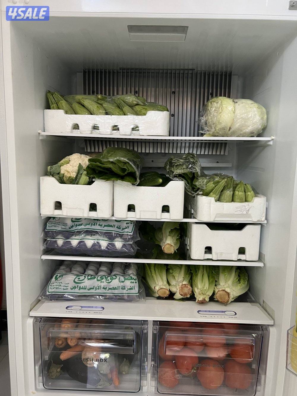 ثلاجات تعمل علي الغاز والكهرباء2