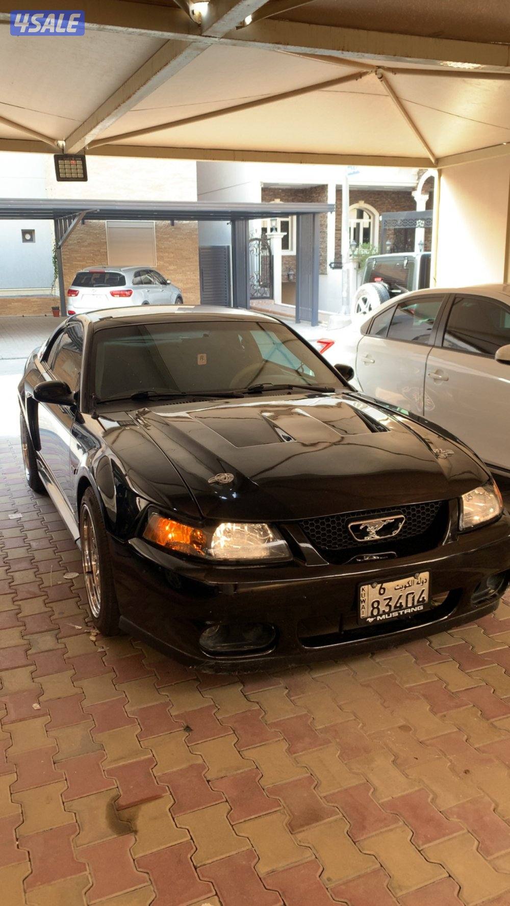 قير عادي 2003 نظيف جدا2