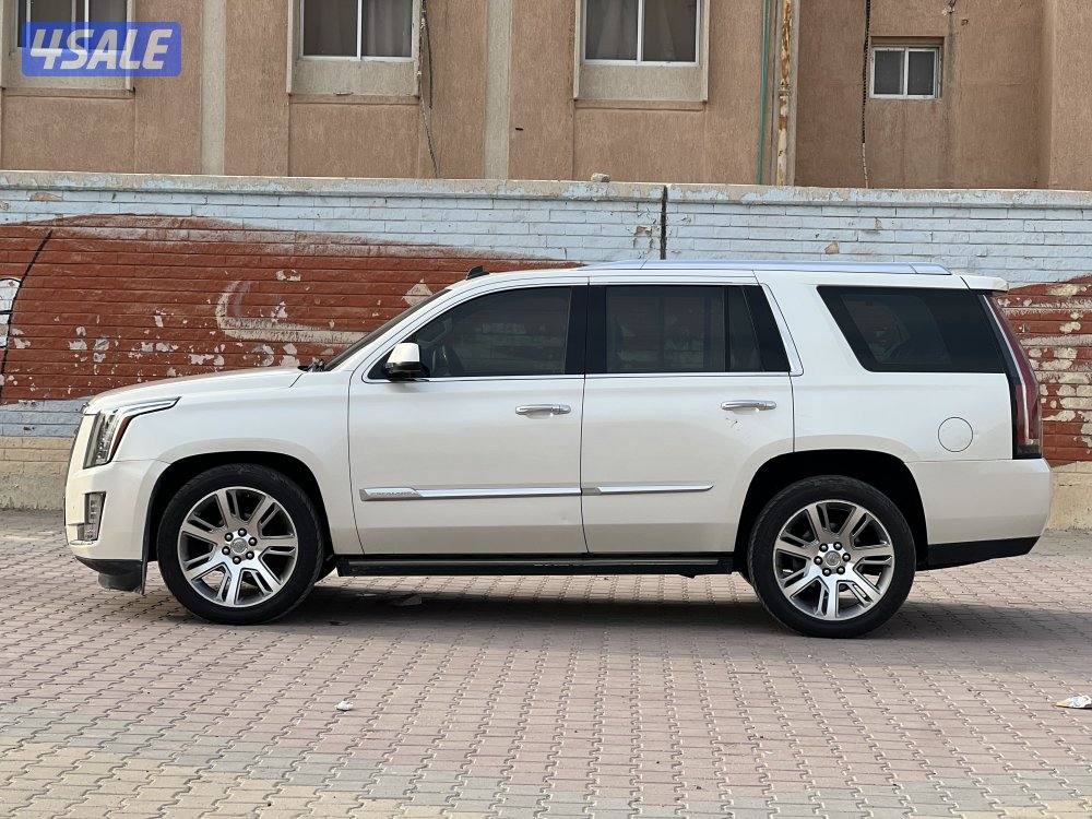 2015 صبغ الوكالة تان دبل قير بروجكتر نقط عمياء1