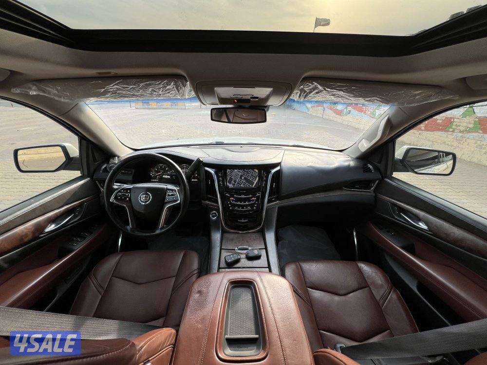 2015 صبغ الوكالة تان دبل قير بروجكتر نقط عمياء6