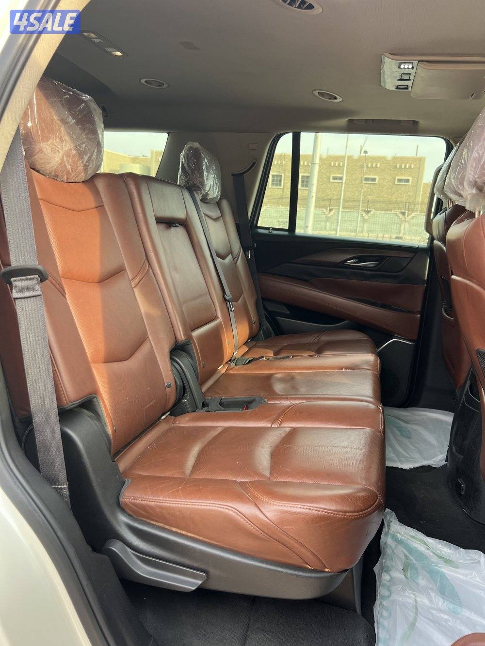 2015 صبغ الوكالة تان دبل قير بروجكتر نقط عمياء9