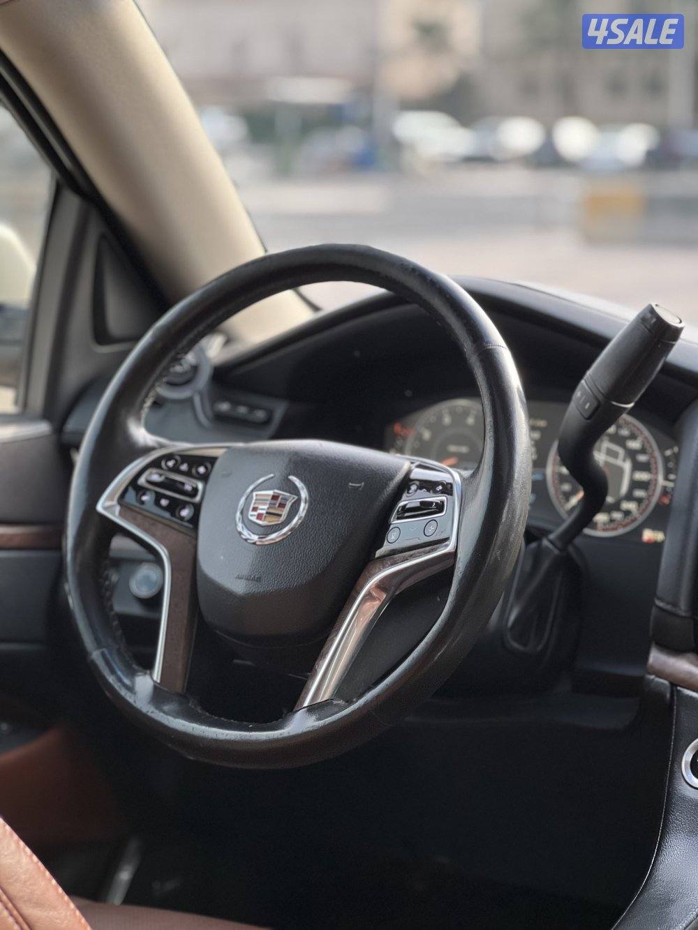 2015 صبغ الوكالة تان دبل قير بروجكتر نقط عمياء11