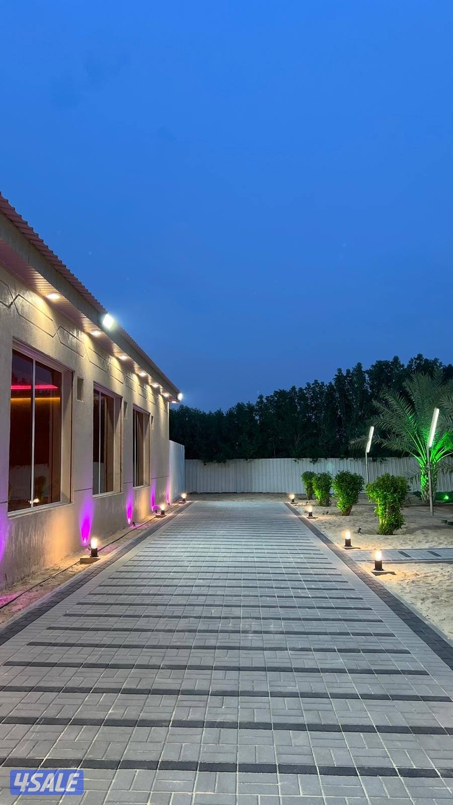 مزارع الوفرة11