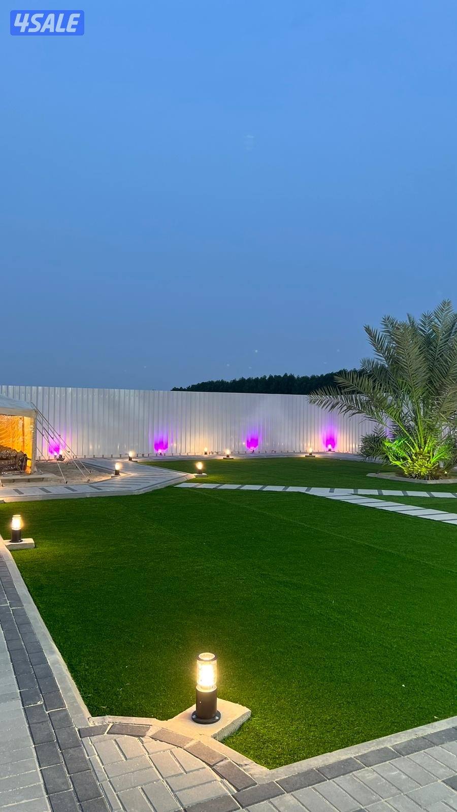 مزارع الوفرة13