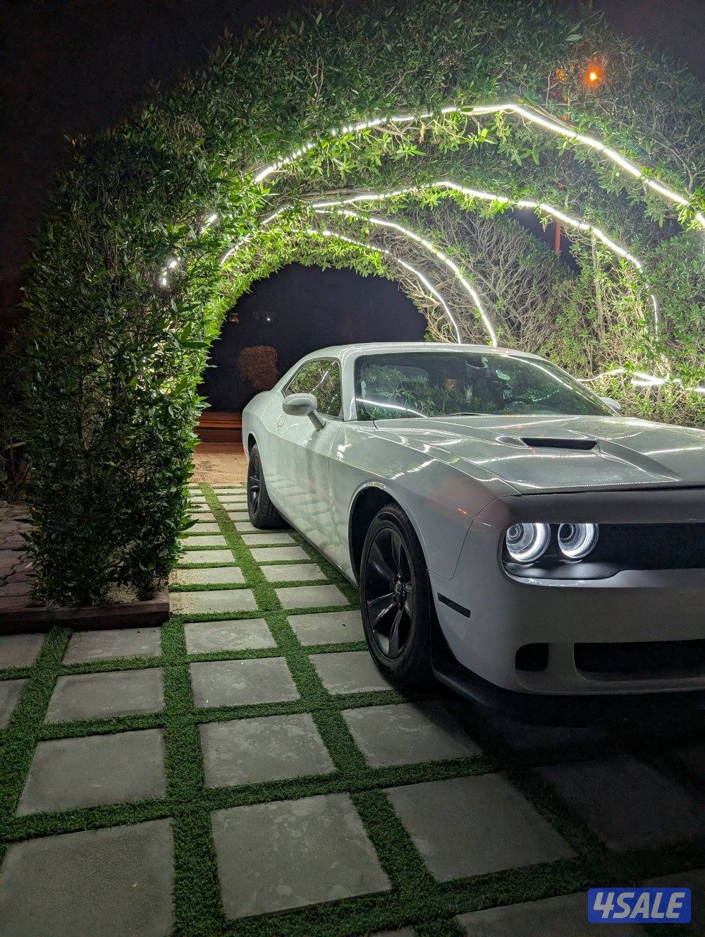 جابر العلي2