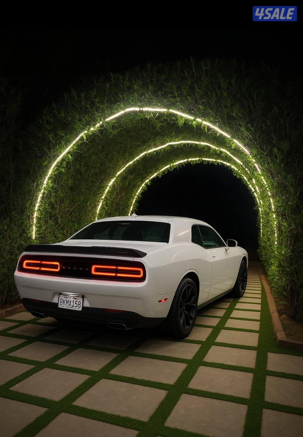 جابر العلي1