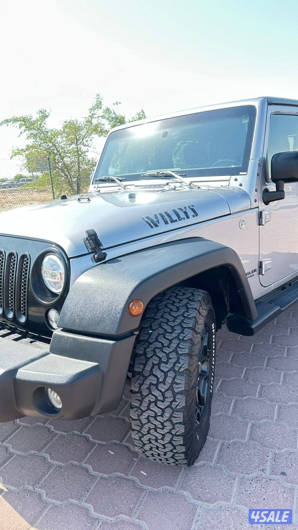 Jeep Wrangler Willys-20175